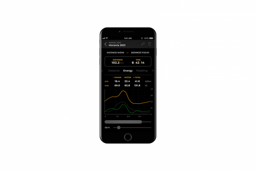 Bosch PURION display after SpeedBox 3.0 B.Tuning installation